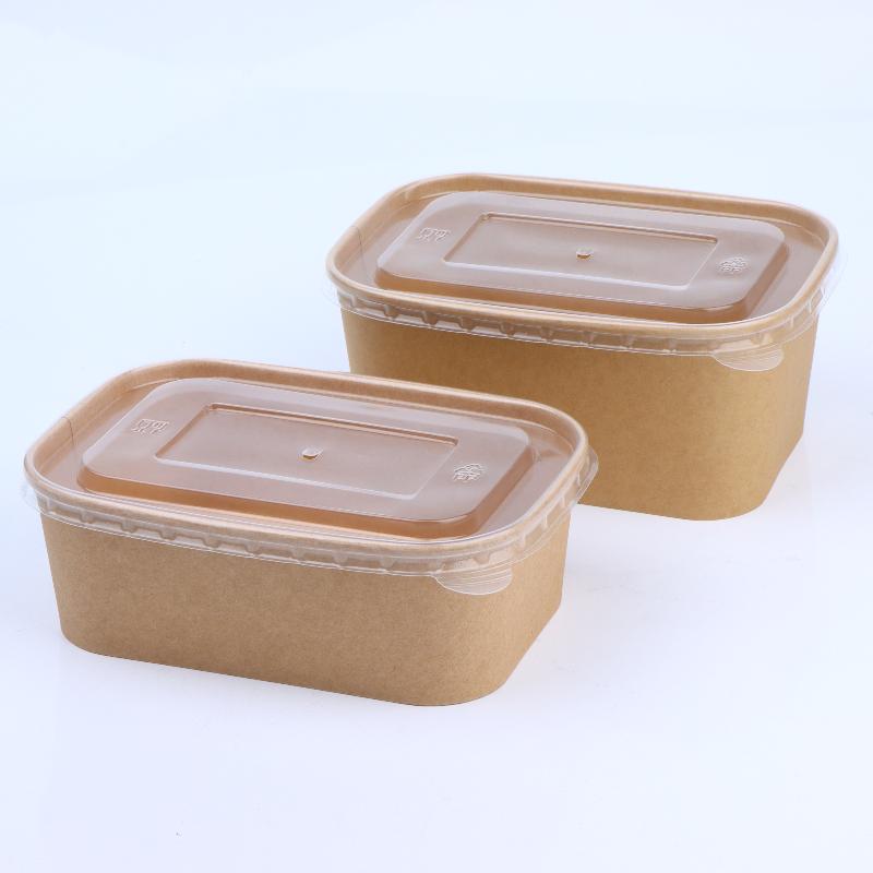 10Pcs Square Disposable Kraft  - Meal Prep Bowl recension och pris